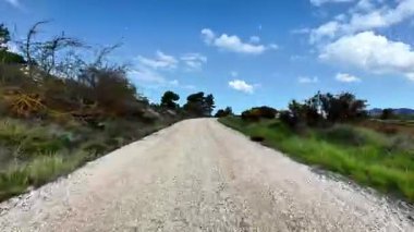 Güzel, berrak mavi gökyüzünün altında verimli ağaçlar ve canlı yeşilliklerle çevrili manzaralı bir çakıl yolu.