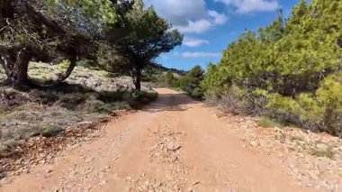 Açık mavi gökyüzünün altındaki canlı ağaçların arasından geçen pitoresk bir toprak yol, açık hava maceraları için mükemmel.