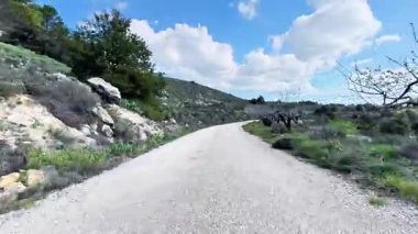 Parlak, güneşli gökyüzünün altındaki yemyeşil tepelerde kıvrılan güzel ve manzaralı bir yol, doğa severler için mükemmel.