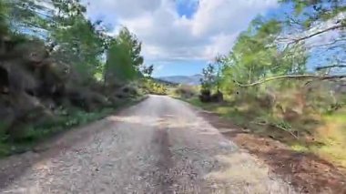 Parlak, berrak bir gökyüzünün altında, canlı, gür yeşillikler arasında zarifçe süzülen gerçekten resimsi bir çakıl yolu.