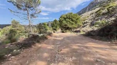 Canlı ağaçlar ve çarpıcı manzaralarla çevrili sakin toprak bir yolda maceraya atılmak.