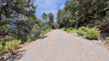 Çevresi bereketli ağaçlarla çevrili, doğa severler ve özgürlüğe ilham veren açık hava maceraları için mükemmel bir yol.