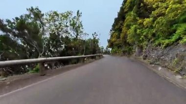 İki tarafı da canlı yeşilliklerle kaplanmış pitoresk, dolambaçlı bir yol. Gerçek doğa severler için mükemmel.