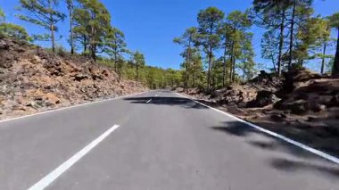 Nefes kesen resimli bir yol, serin, canlı bir çam ormanının içinden geçiyor, nefes kesici volkanik bir arazide geçiyor.