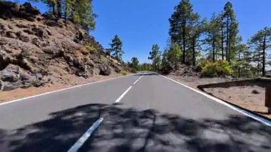 Göz kamaştırıcı derecede güzel ve dolambaçlı bir yol gür yeşil çam ağaçları ve kayalık arazide berrak mavi bir gökyüzünün altında yol alır.