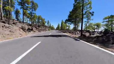 Bereketli ağaçlar ve volkanik kaya oluşumlarıyla çevrili manzaralı bir yol, heyecan verici açık hava maceraları için ideal.