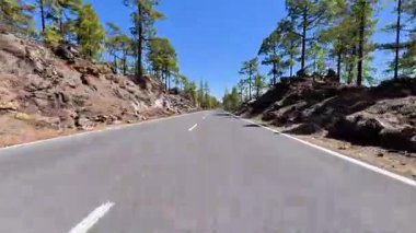 Etrafı çam ağaçlarıyla çevrili dolambaçlı ve güzel bir dağ yolu manzarası.