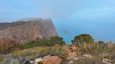 Büyük okyanusa tepeden bakan sisli bir uçurum manzarasının nefes kesici güzelliğini tecrübe edin.