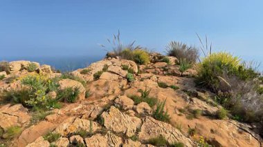 Nefes kesici ve çarpıcı bir manzara kayalık araziyi sergiliyor. Berrak bir günde okyanusun kenarında yemyeşil bir araziyle birlikte.