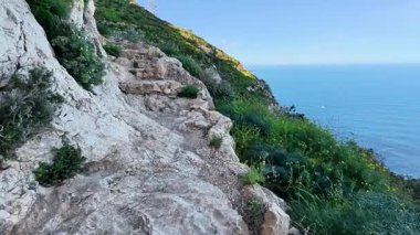 Bereketli yeşillik ve doğal güzelliklerle çevrili sakin okyanusa bakan çarpıcı kayalık bir yol keşfedin.