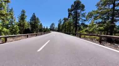 Canlı ağaçlarla çevrili güzel, dolambaçlı bir yol ve berrak mavi bir gökyüzü, gezginler için ideal.