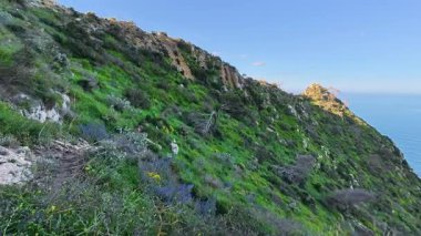 Okyanus manzarasıyla kıyı şeridi boyunca uzanan canlı araziyi keşfetmek için bir maceraya atılın.