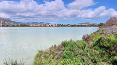 Bu çarpıcı göl manzarası, açık mavi gökyüzüne ve tüylü beyaz bulutlara karşı canlı yeşillikler sergiliyor.