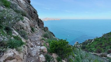 Gelin ve nefes kesici okyanus manzarası ve canlı, yemyeşil bir yer sunan güzel bir kıyı yolunu keşfedin.