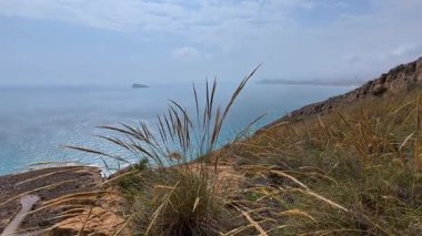 Nefes kesici bir manzara çarpıcı uçurumlar ve dingin, geniş bir okyanus manzarasına doğru uzanan yemyeşil çimenler.