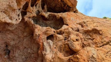 Eşsiz desenli bir kaya oluşumunun yakından görüntüsü çarpıcı ve karmaşık doğal detayları gözler önüne seriyor.