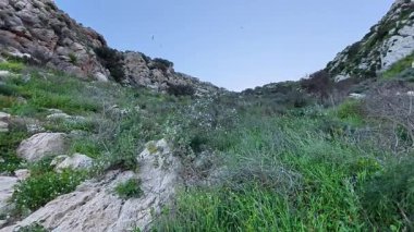 Büyüleyici ve güzel bir kayalık arazi berrak mavi gökyüzünün altında canlı yeşil bitkilerle süslenmiş.