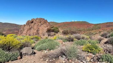 Bu, kayalık arazi ve açık mavi gökyüzünün altındaki renkli bitkilerin sergilendiği çarpıcı doğal bir manzara.