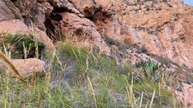 Sersemletici bir panoramik manzara, parlak otlar ve açık mavi gökyüzü altında yemyeşil çalılarla süslenmiş kayalık arazi.