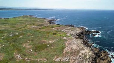Göz kamaştırıcı hava manzarası kayalık kıyıları, canlı yeşillikleri ve ötesinde okyanusla nefes kesici bir kıyı şeridi sergiliyor.