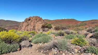 Sersemletici ve nefes kesici kayalık arazi manzarası berrak mavi gökyüzünün altındaki renkli bitki örtüsüyle güzelce süslenmiş.