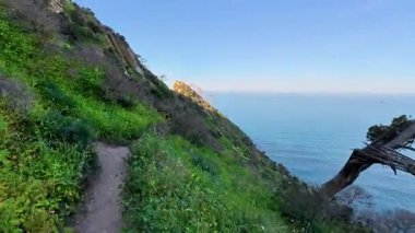 Yeşillik ve nefes kesen okyanus manzaralı çarpıcı bir sahil yolu deneyimleyin.