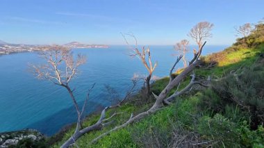 Serin mavi sular ve canlı yeşillik manzarası sunan güzel kıyı şeritlerini keşfedin ve dolaşın.