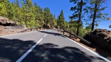 Güzel, dolambaçlı bir yol, yemyeşil bir ormanın içinden geçiyor, göz kamaştırıcı doğal manzaralar sunuyor.