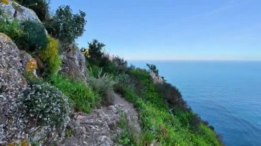 Deniz üzerindeki manzaralı bir patikadan çarpıcı görüntüler büyüleyici, canlı, gür bitki yaşamlarıyla çevrili.