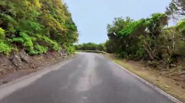 Huzurlu ve huzurlu bir yolculuk. Güzel, dolambaçlı bir dağ yolu boyunca. Tamamen canlı, yemyeşil bir bitki örtüsüyle kaplı.