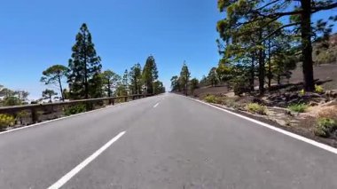 Uzun çam ağaçları ve açık mavi gökyüzü tarafından kucaklanan bu huzurlu ve huzurlu yolda sakin bir yolculuğa çıkın.