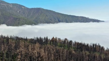 Dağlık bir manzaraya sahip nefes kesici bir manzara. Şiddetli bir yangından sonra yoğun bir sis ile kaplanmış güzel bir manzara.