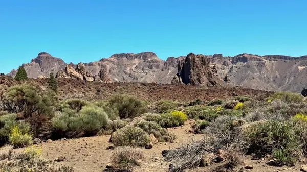 Sersemletici çöl manzaralarını keşfedin dramatik kaya oluşumlarını ve berrak gökyüzünün altında canlı bitki örtüsünü.