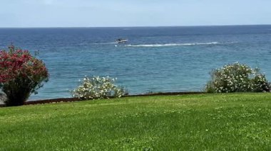 Huzurlu bir okyanus manzarası, yemyeşil ve güzel bir kıyı şeridi manzarası..