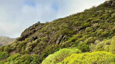 Parlak yeşillik ve etkileyici kayalık oluşumlarla süslenmiş görkemli dağların nefes kesici manzarası.