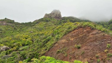 Yeşillik ve sisle kaplı görkemli bir dağın çarpıcı manzarası benzersiz güzellikleri sergiliyor.
