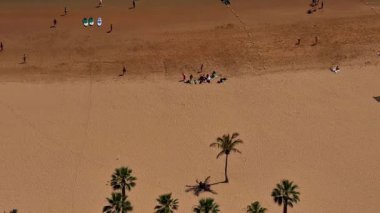 Güneş banyosu yapan, palmiye ağaçları ve su sporları yapan canlı bir plaj sahnesi..