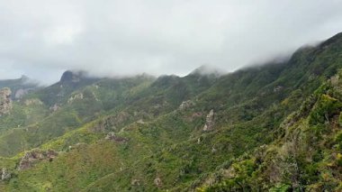 Huzurlu dağ manzarası, uzaktaki sersemletici sisli tepelere eşlik eden canlı yeşillik barındırır.