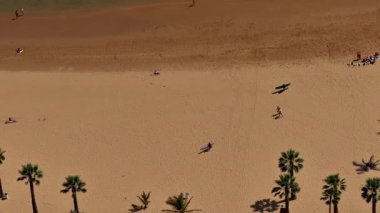 Nefes kesici bir hava manzarası güzel kumlu bir sahili, sallanan palmiyeleri ve güneşlenenleri gösteriyor