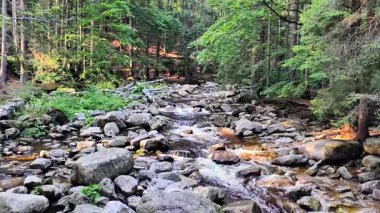 Huzurlu bir dağ deresi kayaların üzerinden akar, yemyeşil ağaçlarla çevrilidir, güzellikleri gözler önüne serer..