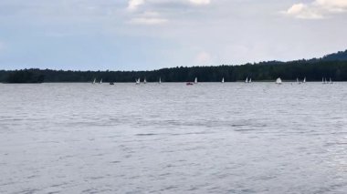 Çok sayıda yelkenlinin güzel bulutlu gökyüzünün altında huzurlu bir gölde süzülüşünün resimsel bir görüntüsü.