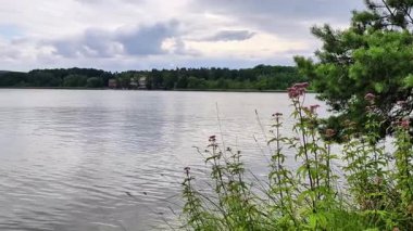 Sakin göl manzarası canlı bitkiler, sakin bir su yüzeyi ve güzel bulutlu bir gökyüzü sergiliyor.