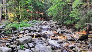 Bereketli yeşil ağaçlarla çevrili kayaların üzerinden akan sakin bir dağ deresi doğanın güzelliğini gözler önüne seriyor..