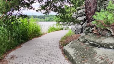 Huzurlu bir göl kenarındaki canlı yeşillik ve pürüzsüz kayalarla dolu güzel bir yolda sakin bir gezintinin tadını çıkarın.