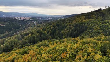 Üzerimizde bulutlu bir gökyüzünün altında kayan tepelerdeki canlı sonbahar ağaçlarının çarpıcı bir manzarası.