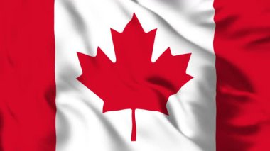 Kanada Bayrağı 4K Animasyon Görkemli Akçaağaç Yaprağı Harekette