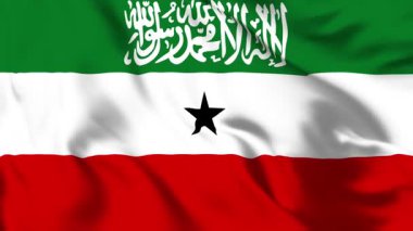 Somaliland Bayrağı 4K Canlandırma Hilal ve Yıldız Hareketi