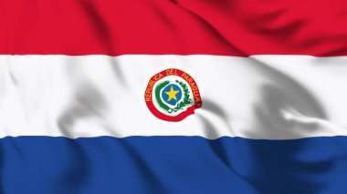 Paraguay Bayrağı 4K Animasyon Çift Amblemi