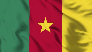 Kamera Bayrağı 4K Animasyon Üç Renkli Hareket Mirası