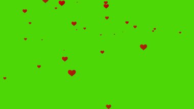 Güzel Kırmızı Kalp Yağmuru Yeşil Ekran 4K Animasyon Romantik Kaplama Efekti